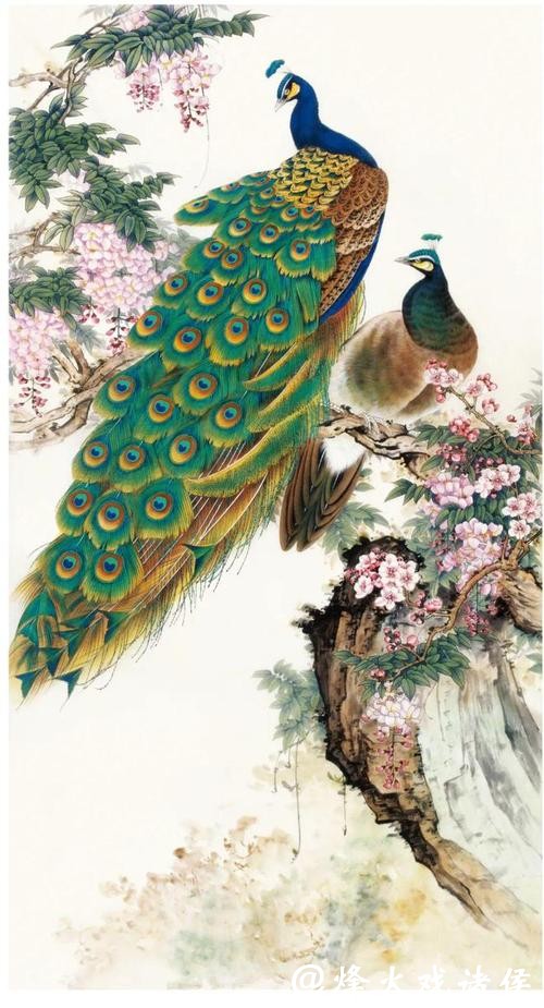 每日读画｜红梅绽芳蕊 孔雀送祥瑞